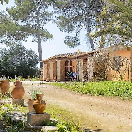 Son Pereto Petit Holiday home *